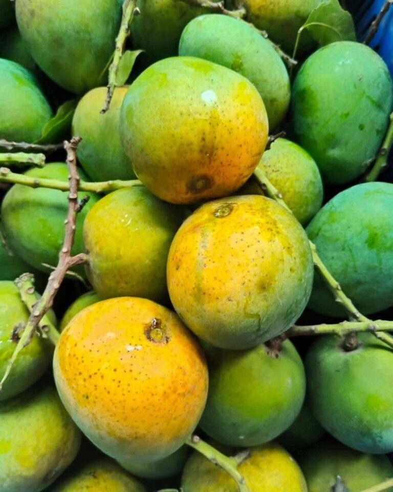 mango_slider_15.jpg