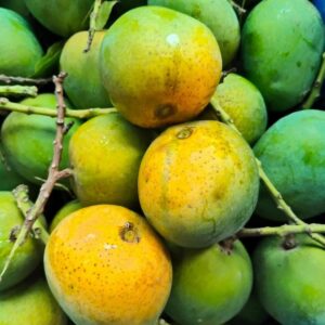 হিমসাগর আম ( 10 কেজি )