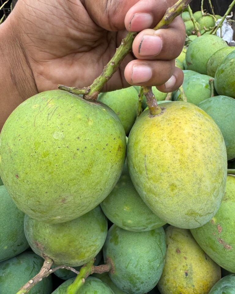 mango_slider_2.jpg